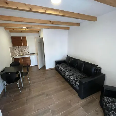 Apartment Studio Soko Banja