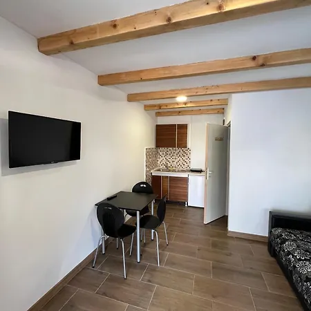 Studio Apartment Soko Banja